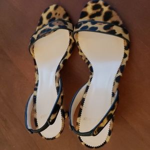 J.CREW Slingback pumps